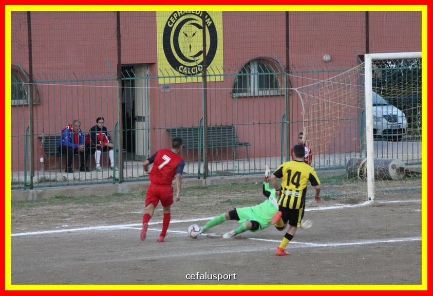 181111 Cepha_Milazzo 272_tn.JPG